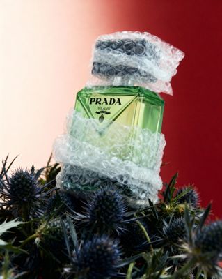 a bottle of prada sitting on top of a plant
