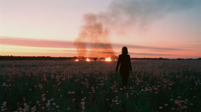 a person standing in a field at sunset