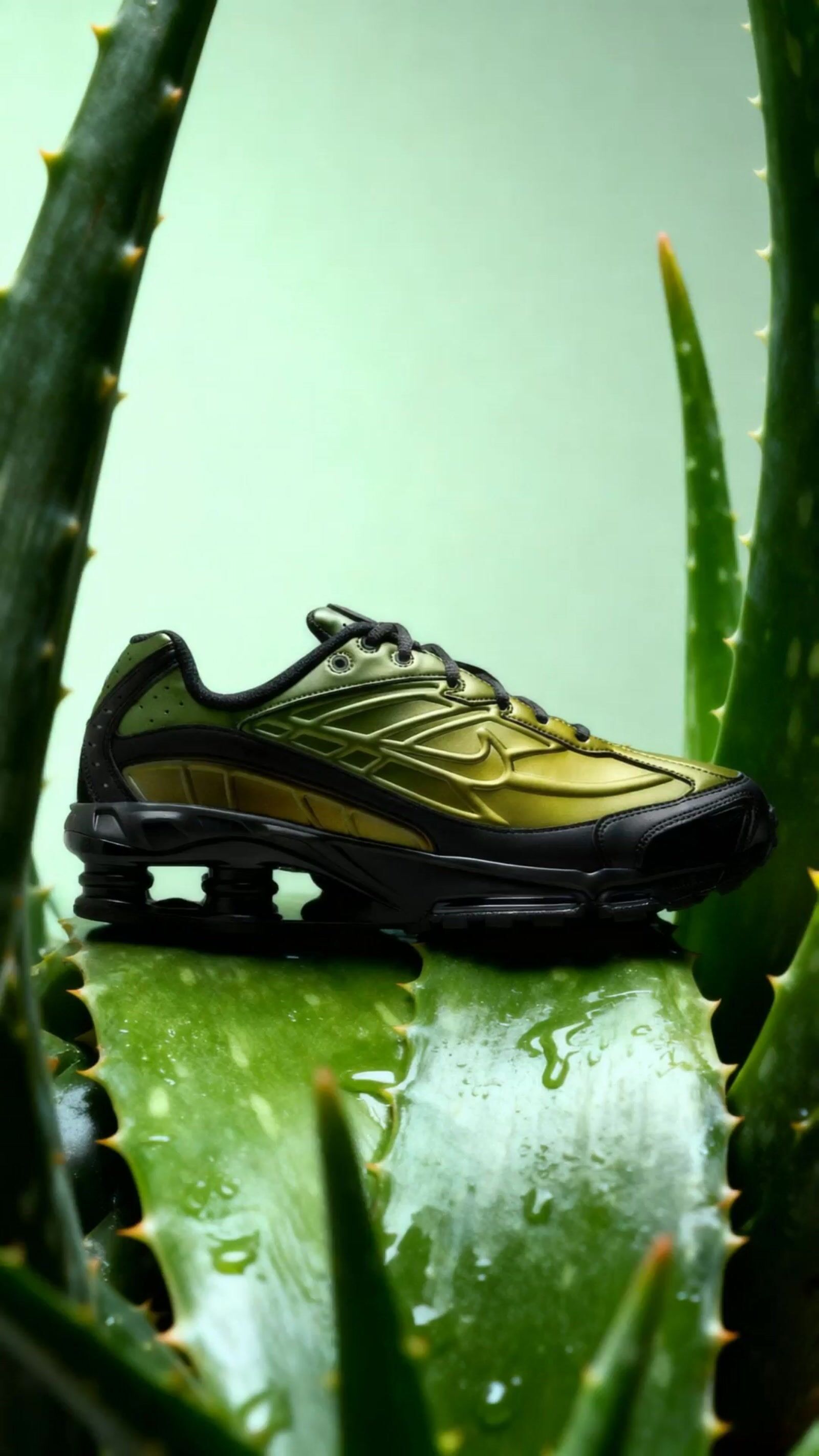 a close up of a shoe on top of a plant