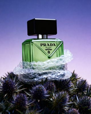 a bottle of prada sitting on top of a plant
