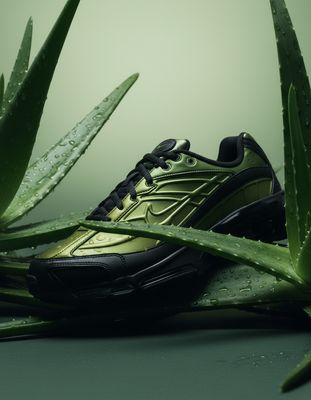 a pair of shoes sitting on top of a green plant