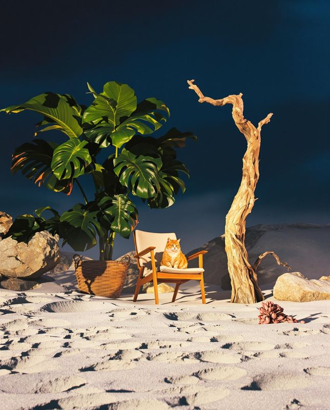 a cat sitting in a chair on a beach next to a tree