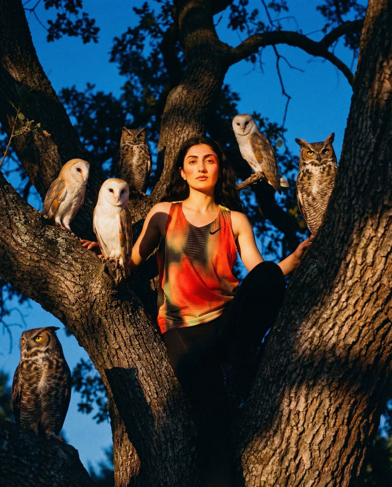 a woman sitting in a tree surrounded by owls
