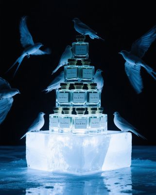a flock of birds flying around a building made of ice