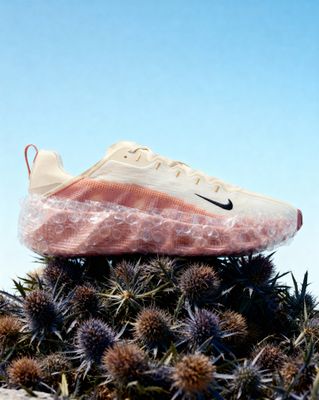 a pair of shoes sitting on top of a plant