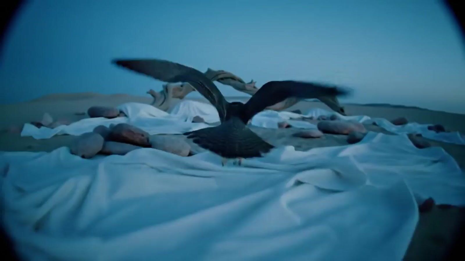 a bird flying over a bed covered in white sheets