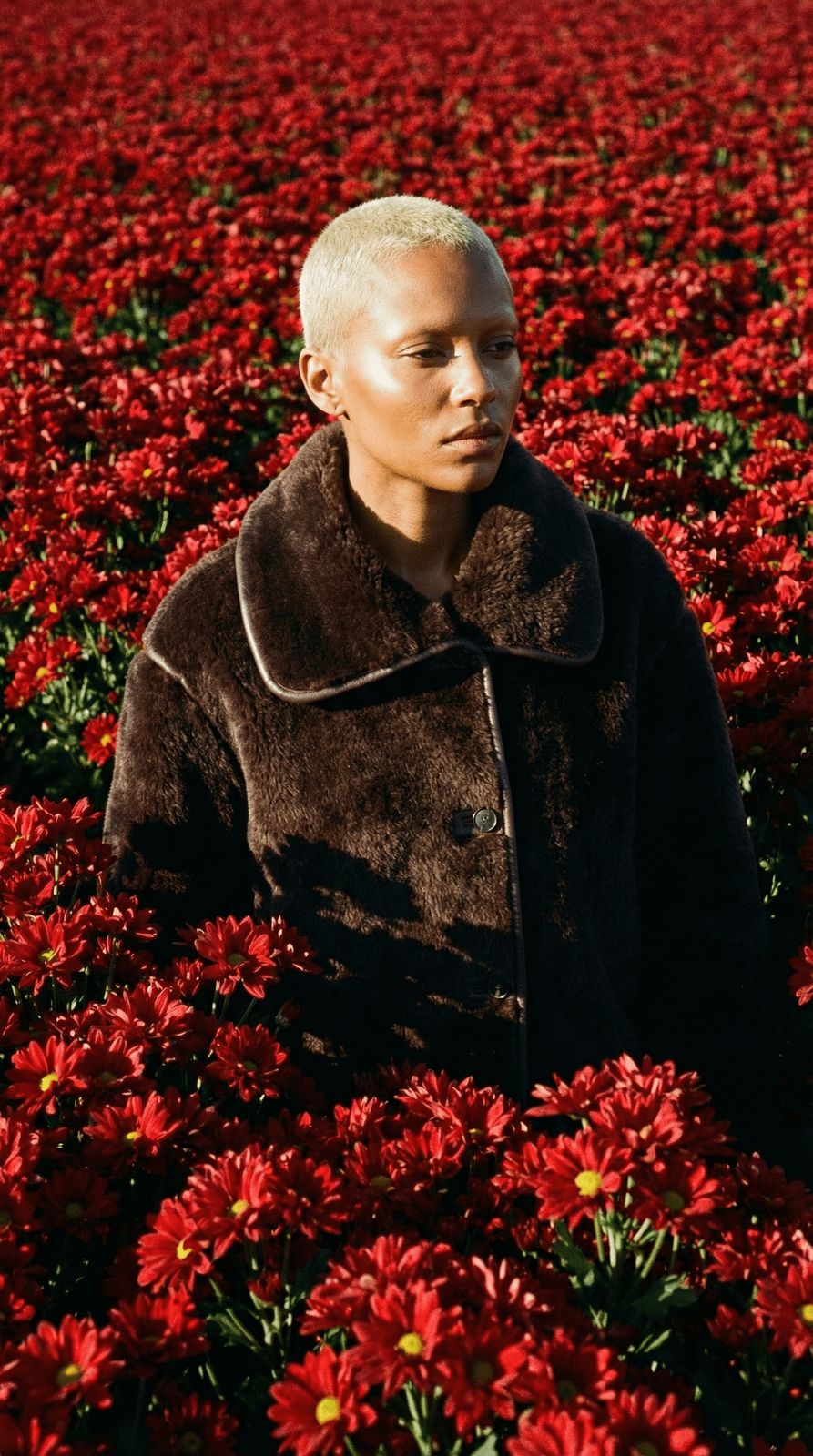 a man standing in a field of red flowers