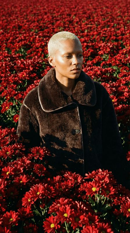 a man standing in a field of red flowers