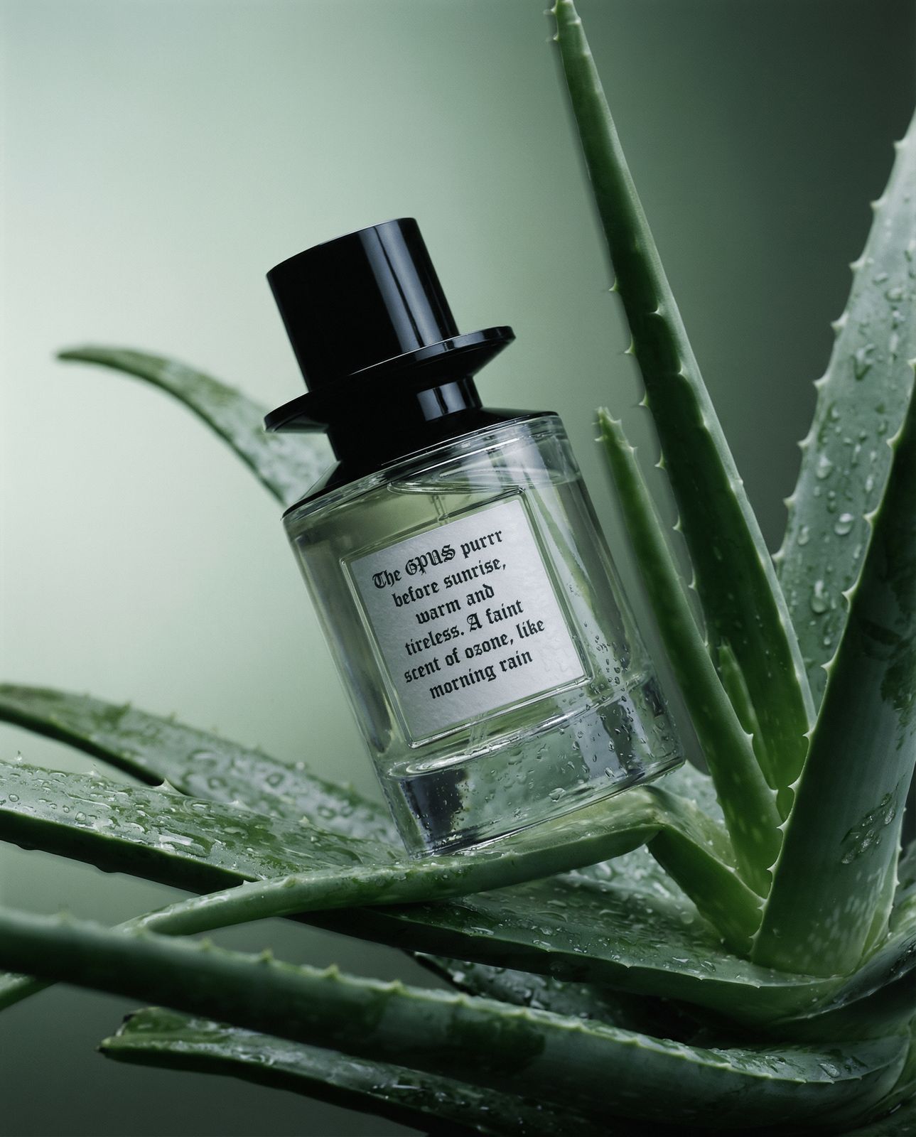 a bottle of perfume sitting on top of a plant