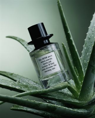 a bottle of perfume sitting on top of a plant