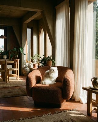 a cat sitting on a chair in a living room