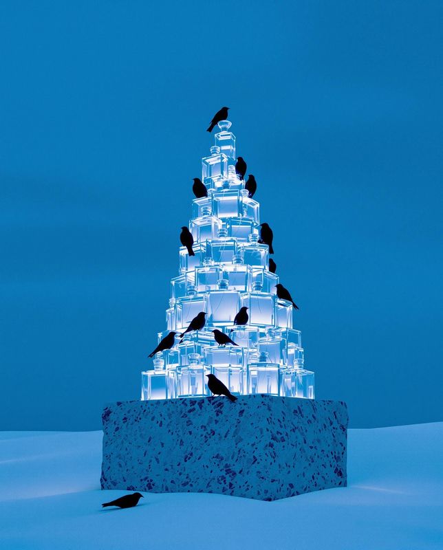 a pyramid made of ice with birds sitting on top of it