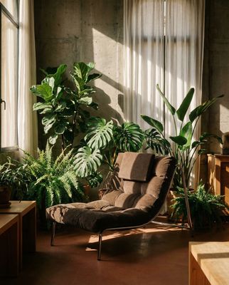 a living room filled with lots of green plants