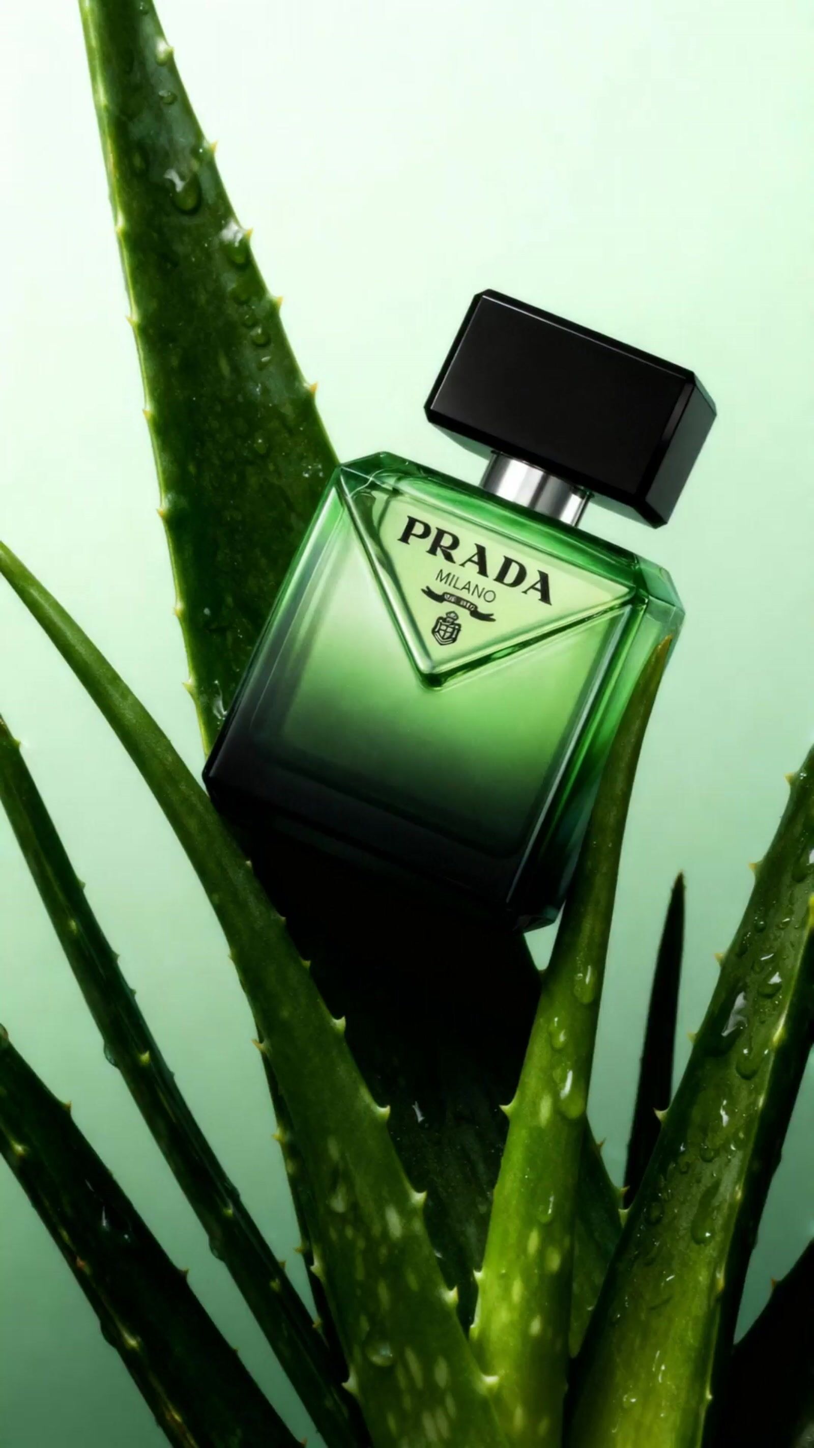 a bottle of prada next to a plant