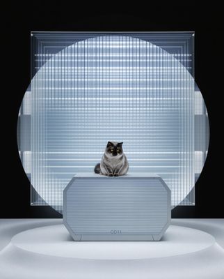a cat sitting on top of a white object