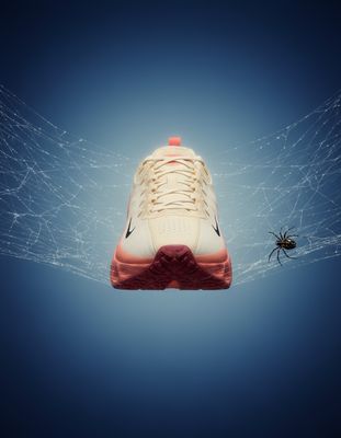 a spider crawling next to a pair of shoes
