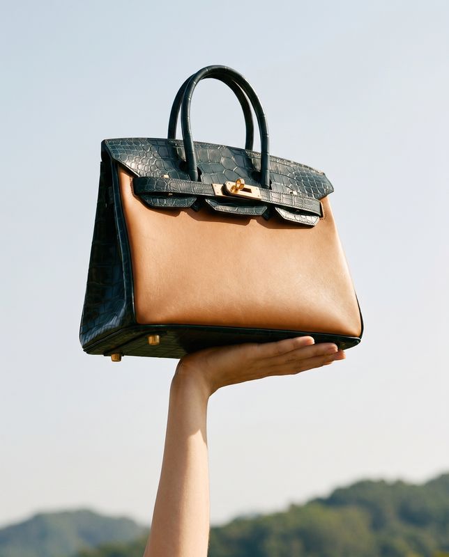 a hand holding a brown and black purse