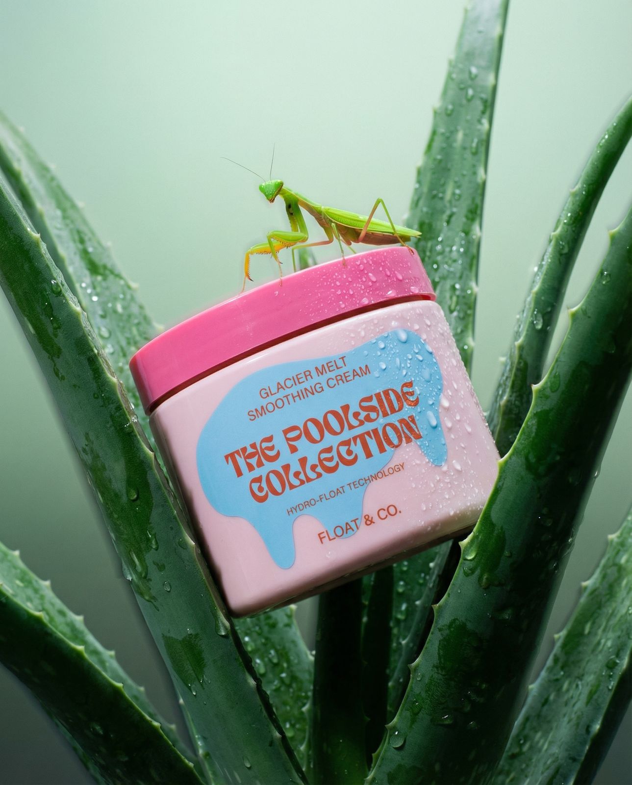 a close up of a plant with a bug on top of it