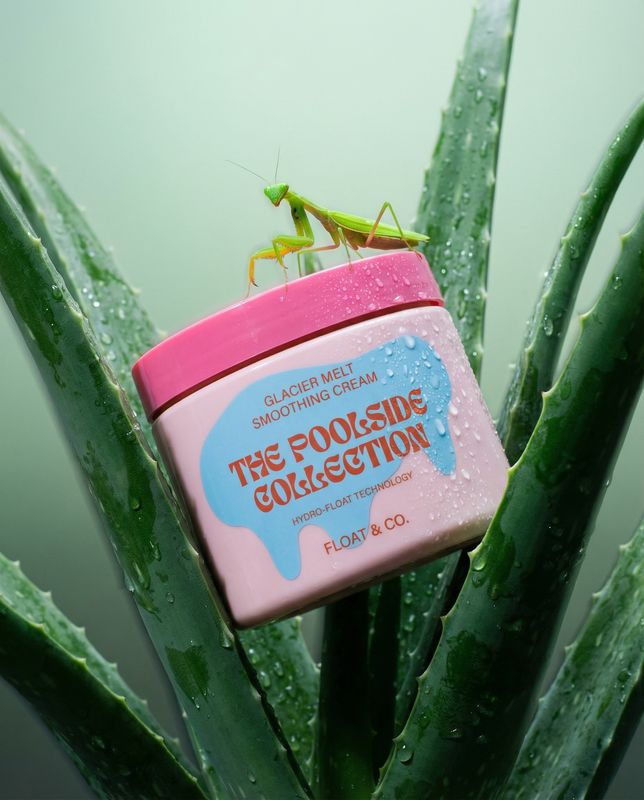 a close up of a plant with a bug on top of it