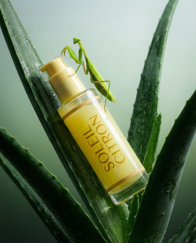 a close up of a small insect on a plant