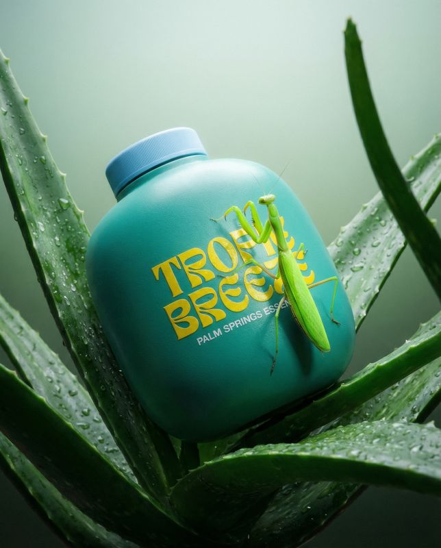 a green bottle sitting on top of a leaf