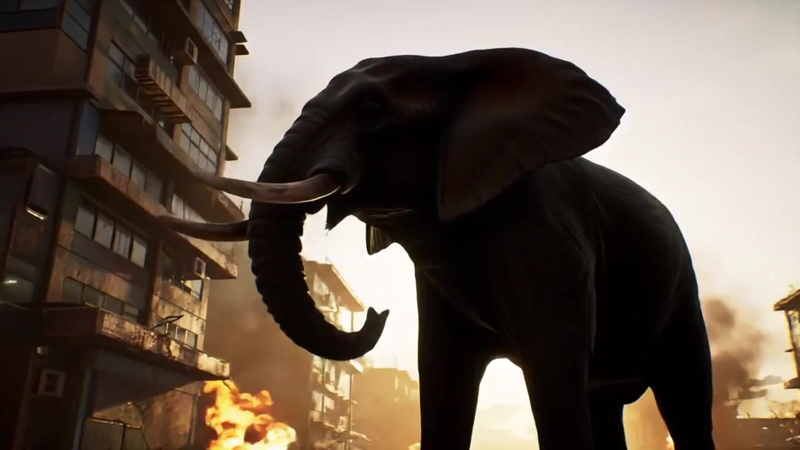 an elephant standing in the middle of a city