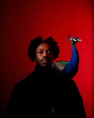 a man holding a peacock on his shoulder