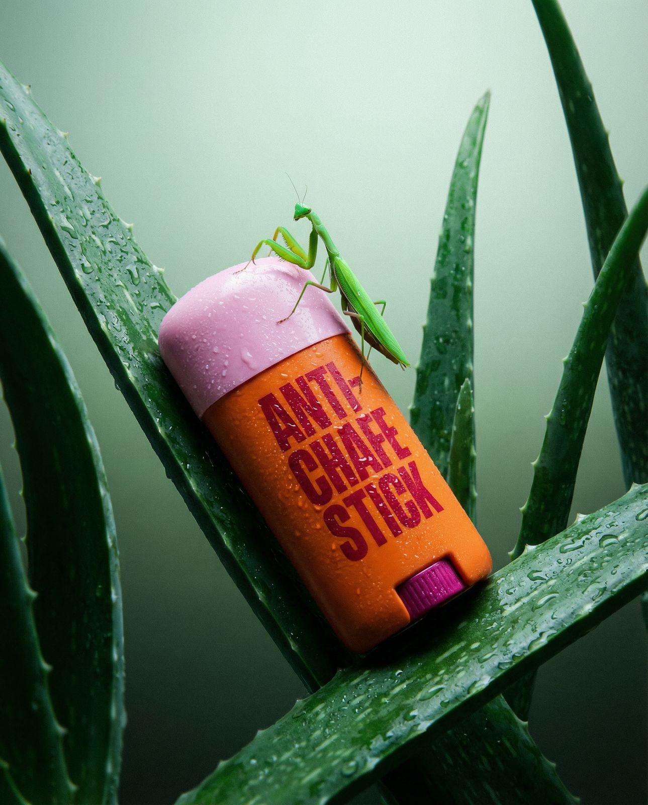 a small green insect sitting on top of a bottle