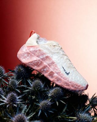 a pair of shoes that are on top of a plant