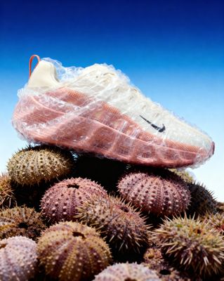 a shoe is sitting on top of a cactus