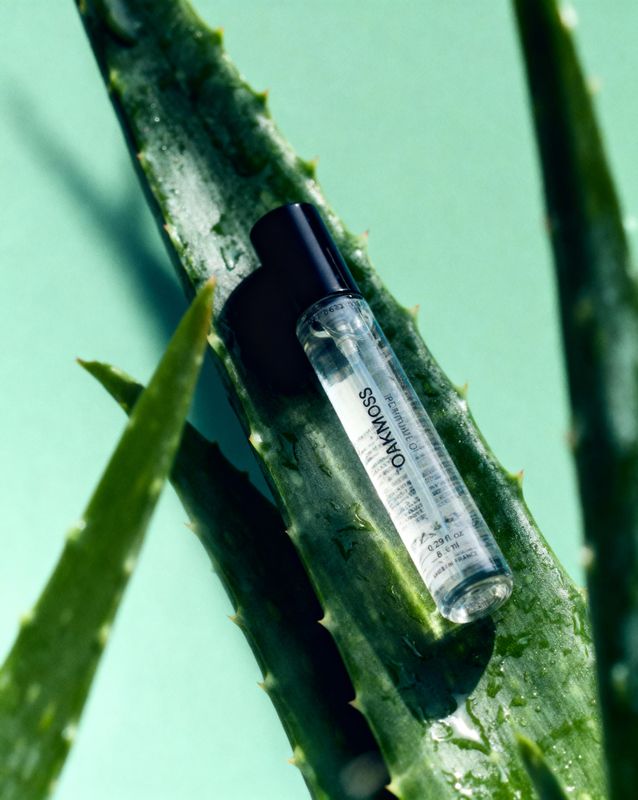 a close up of a plant with a small bottle on it