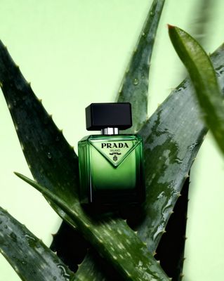 a bottle of prada perfume sitting on top of a plant