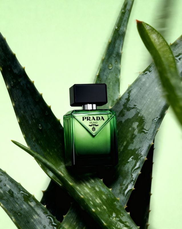a bottle of prada perfume sitting on top of a plant