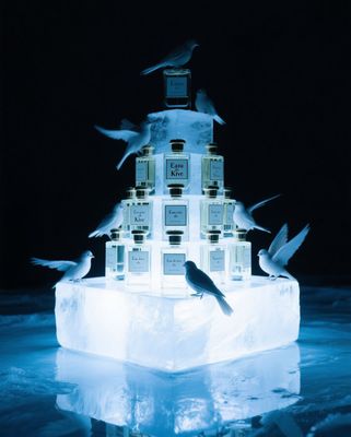a flock of birds sitting on top of a block of ice