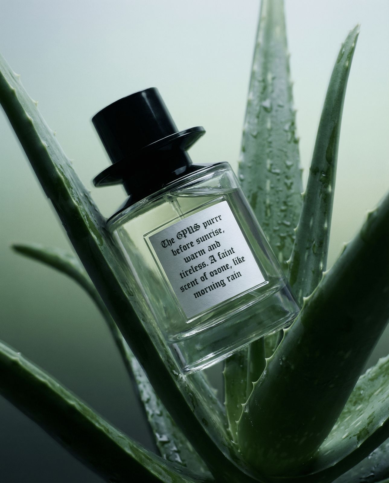 a bottle of perfume sitting on top of a plant