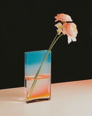 a flower in a vase with a liquid in it