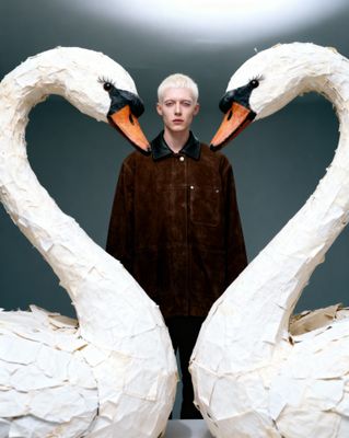 a man standing in front of two white swans