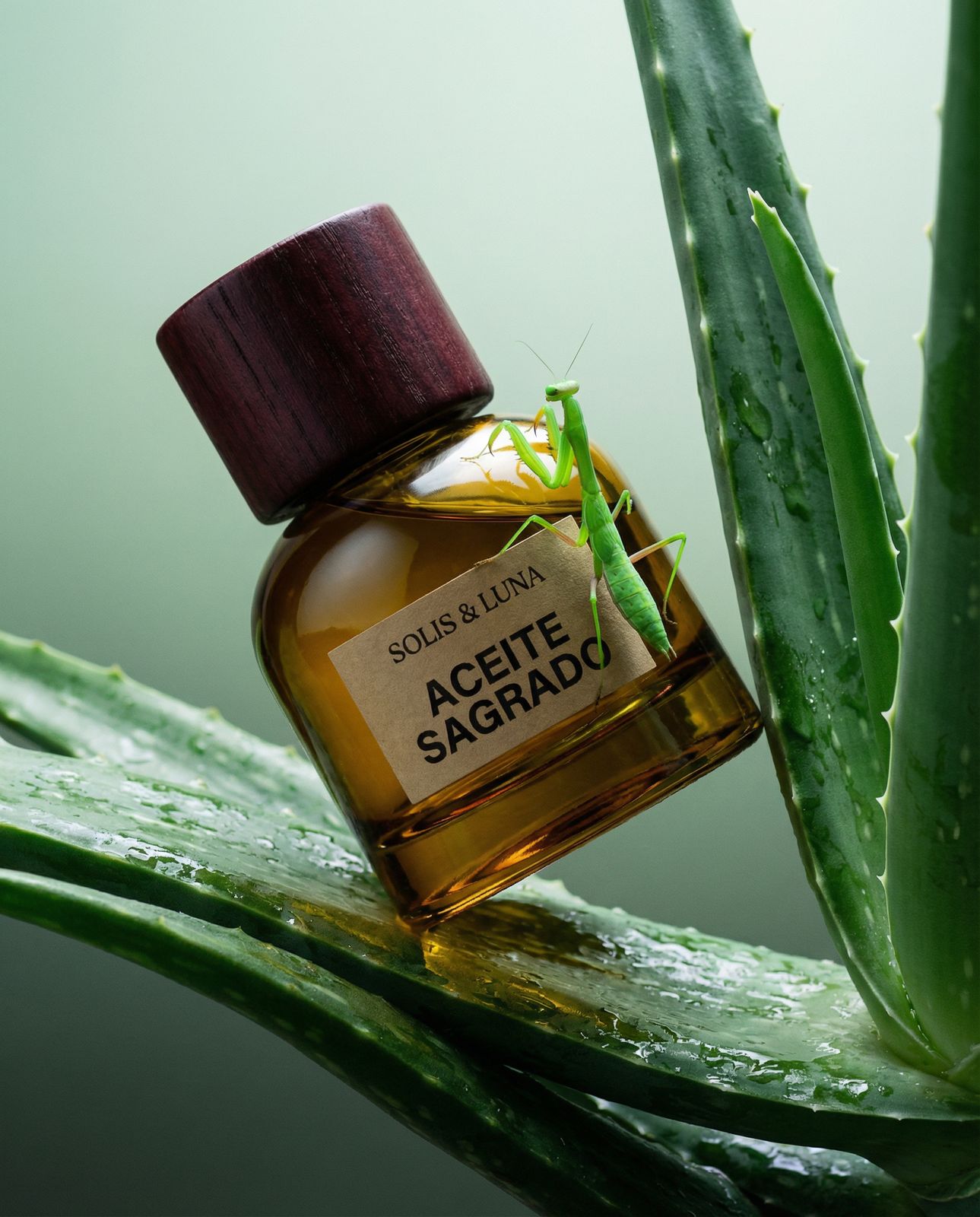 a close up of a bottle of perfume on a plant