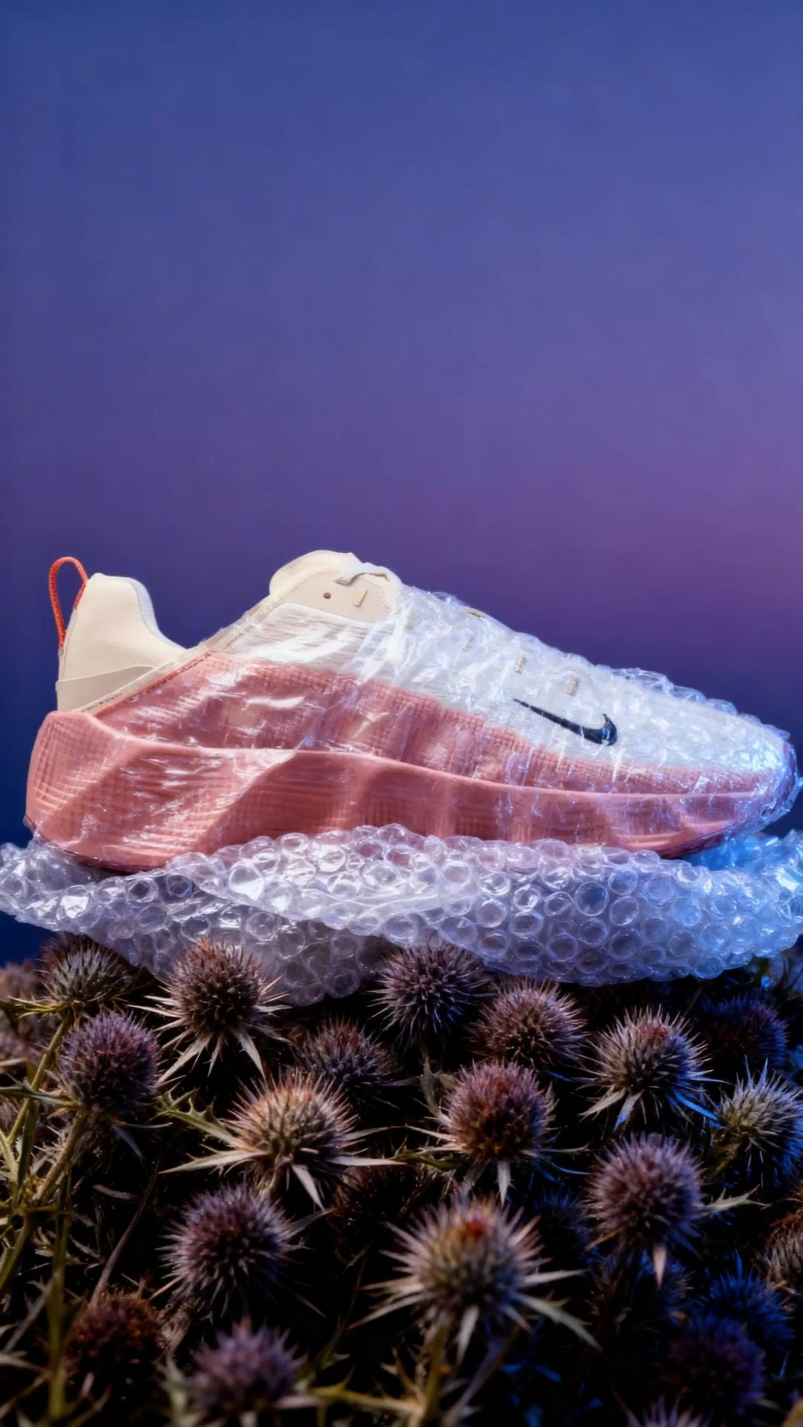 a pair of nike sneakers sitting on top of a cactus