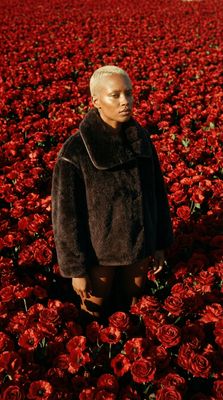 a man standing in a field of red flowers