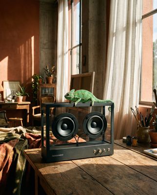 a lizard is sitting on top of a stereo