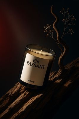 a candle sitting on top of a tree branch