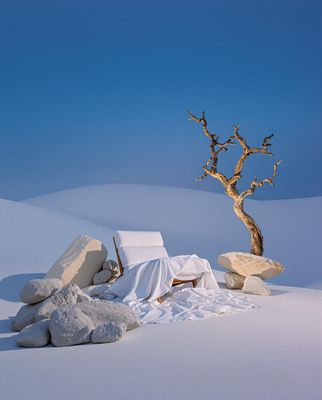 a tree that is standing in the snow