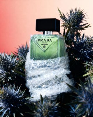 a bottle of prada perfume sitting on top of a tree