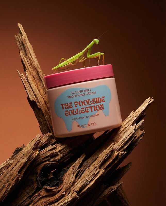 a close up of a container on a branch