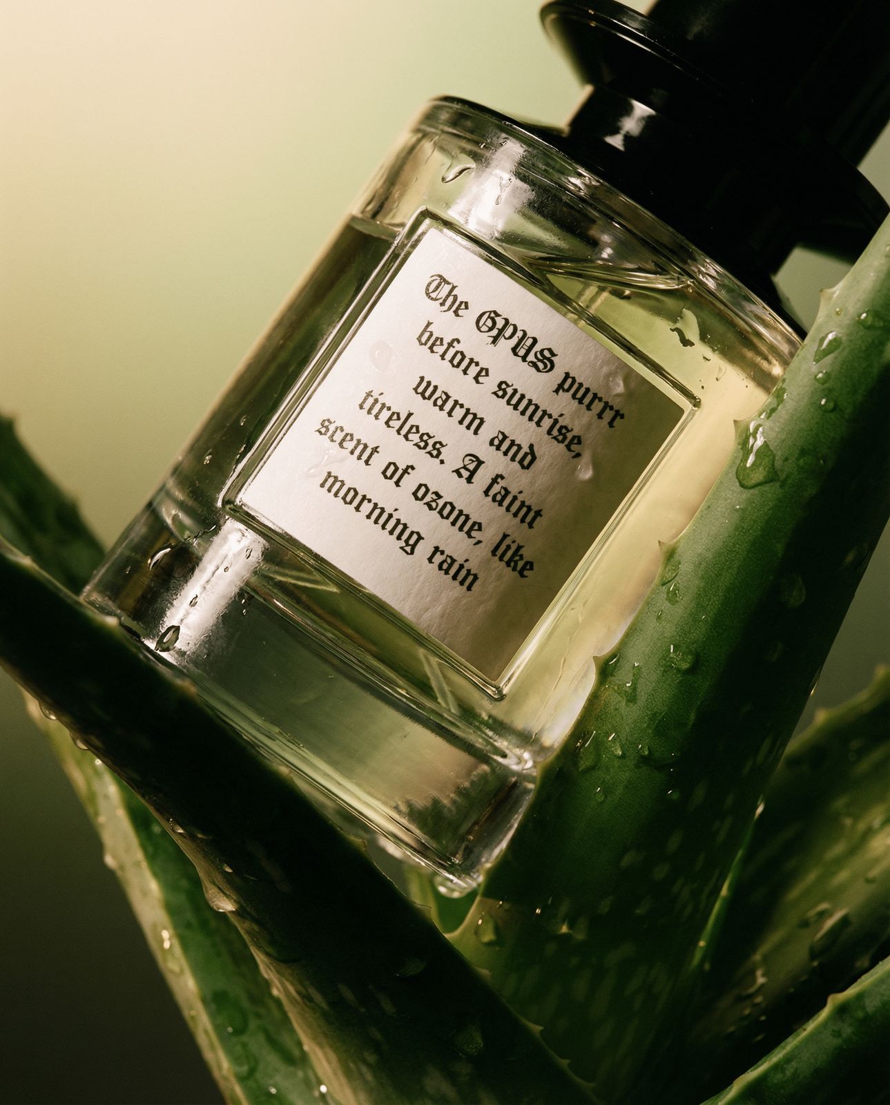 a bottle of perfume sitting on top of a plant