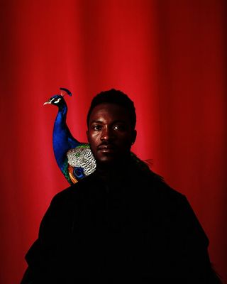 a man standing in front of a red background with a peacock on his shoulder