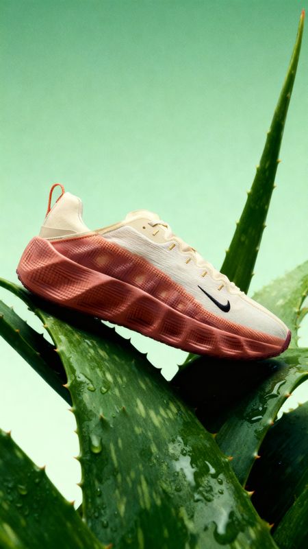 a pair of sneakers sitting on top of a plant