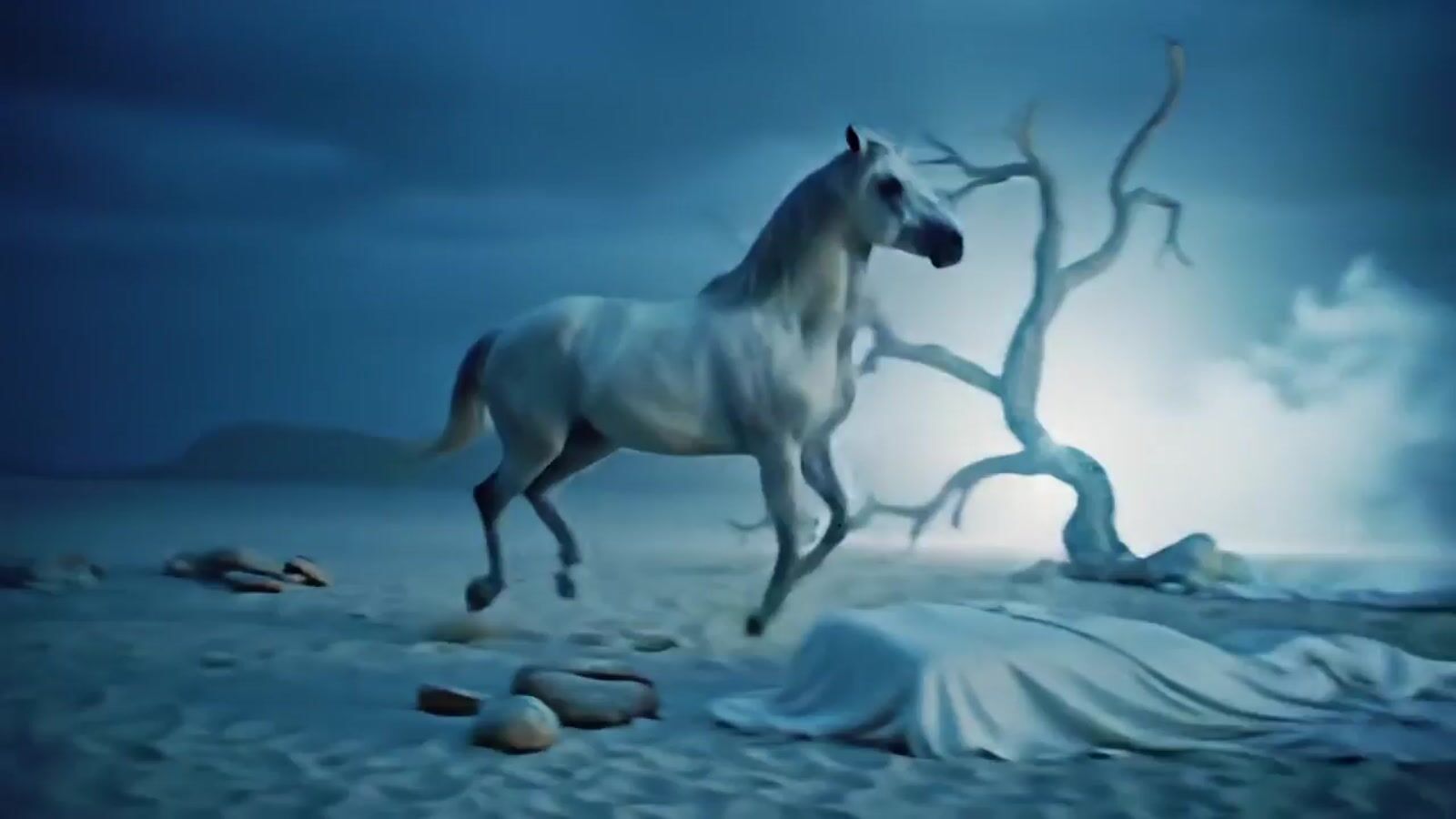 a white horse standing on top of a sandy beach