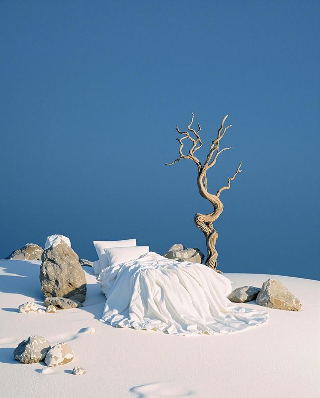 a tree that is standing in the snow